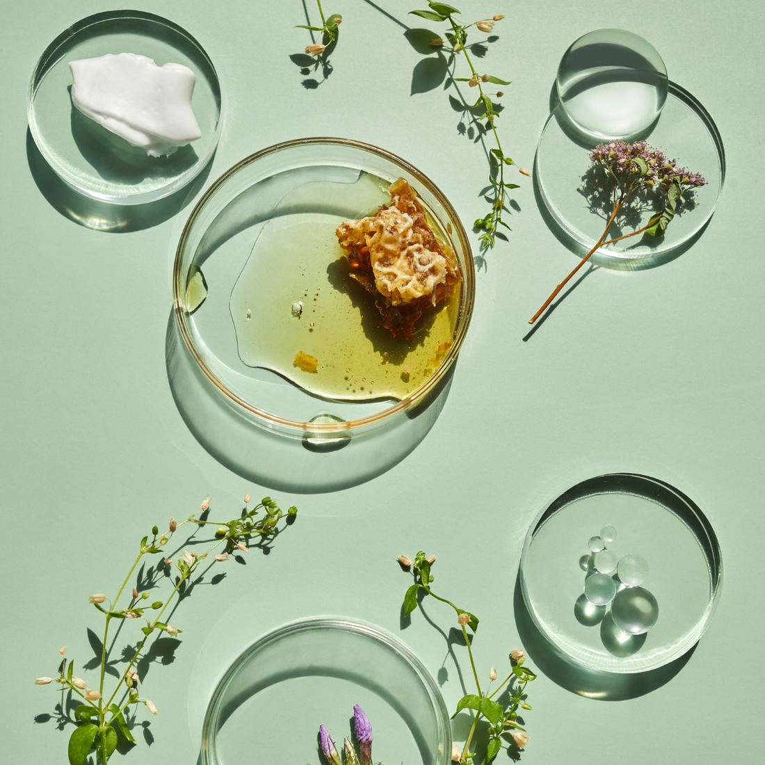 Los beneficios de los ingredientes naturales utilizados en nuestros productos de cuidado de la piel